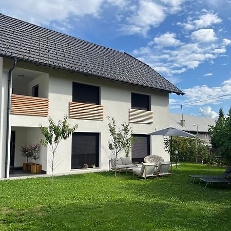 Aura Apartments Zirovnica Exteriör bild