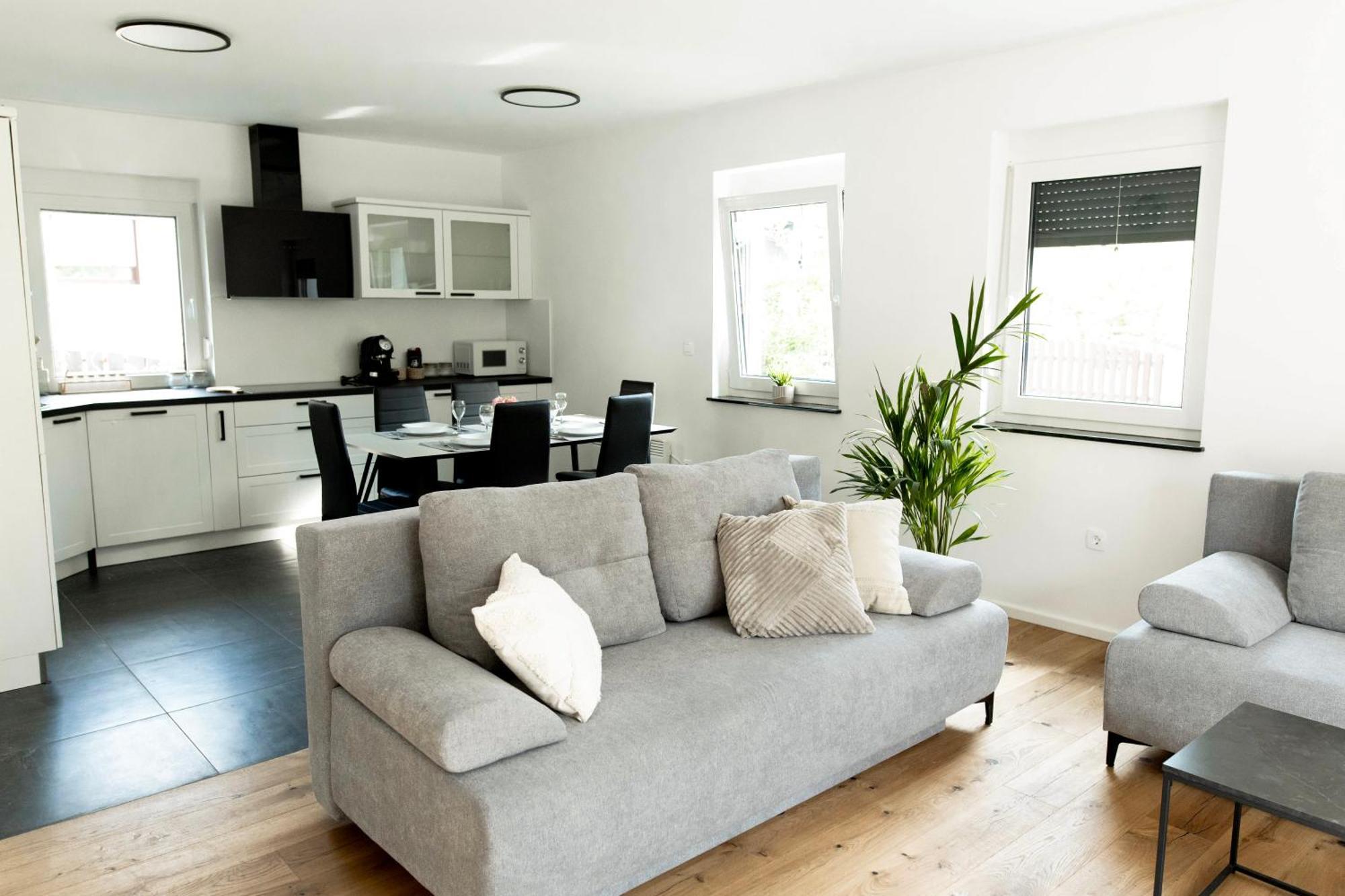 Aura Apartments Zirovnica Rum bild